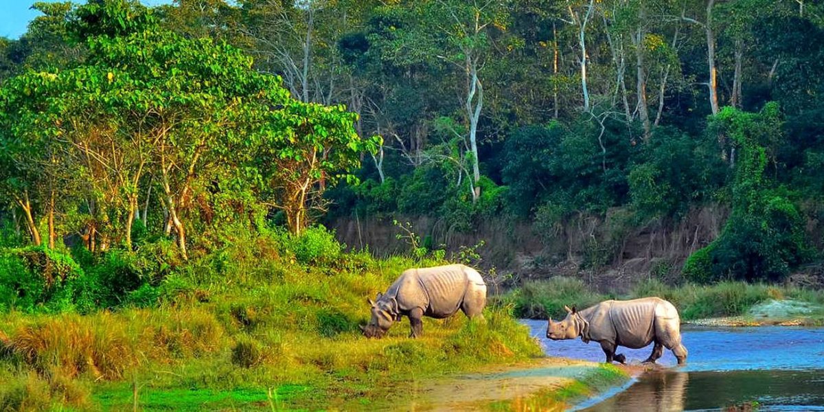 हाम्रो बारेमा